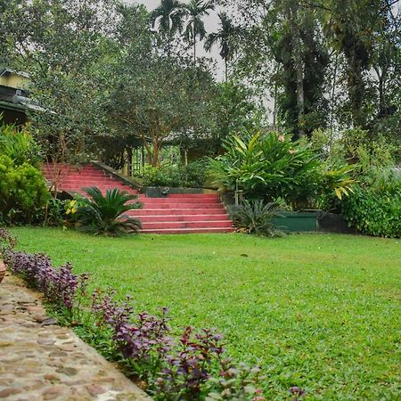Blue Magpie Lodge Sinharaja Kudawe 外观 照片